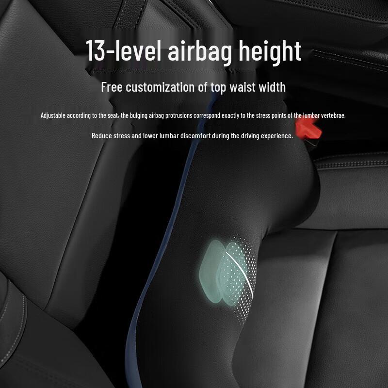 Philips Electric Lumbar Massager Pillow