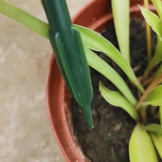 Plant Support Stakes Stackable Half Round Plant Stakes Easy Assembly Stake Trellis Plant Cages for Indoor Outdoor Tomato