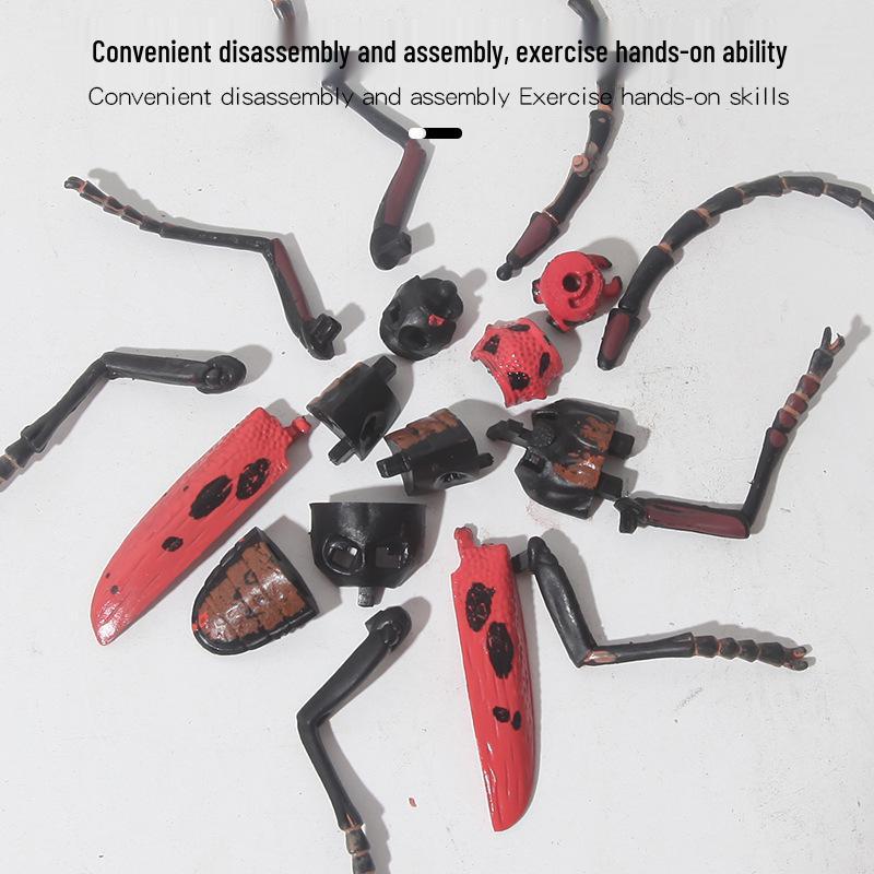 Детская трансграничная модель животного жука - Реалистичная игрушка-насекомое из твердого пластика