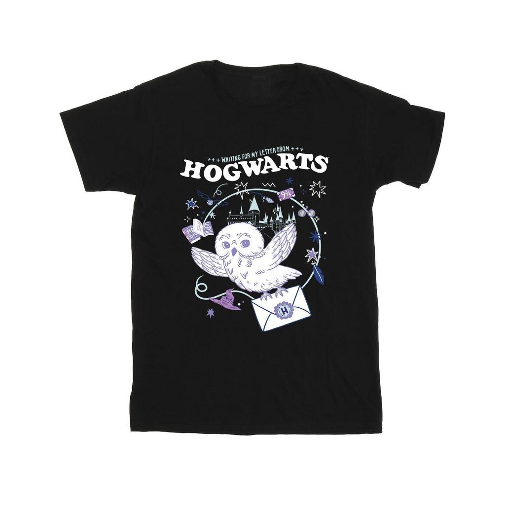 Harry Potter Mens Owl Letter From Hogwarts T-Shirt