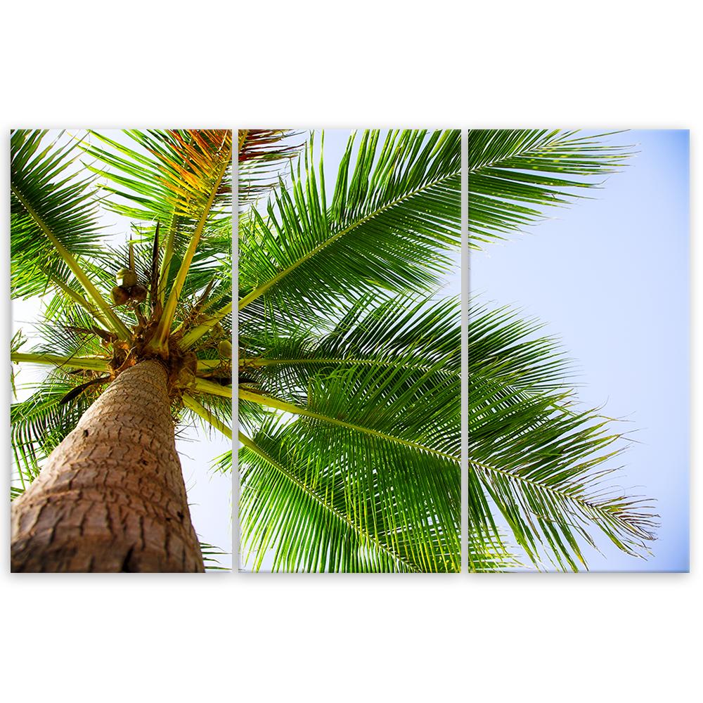 Картина из трех частей, печать на холсте Palm