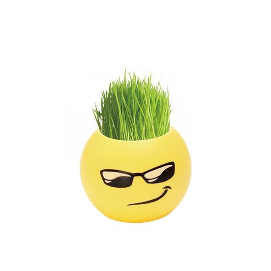 Милый пластиковый горшок Mini Emoji DIY посадка травы домашний рабочий стол окно цветочный горшок
