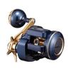 Daiwa 21 Салтига ИК 100