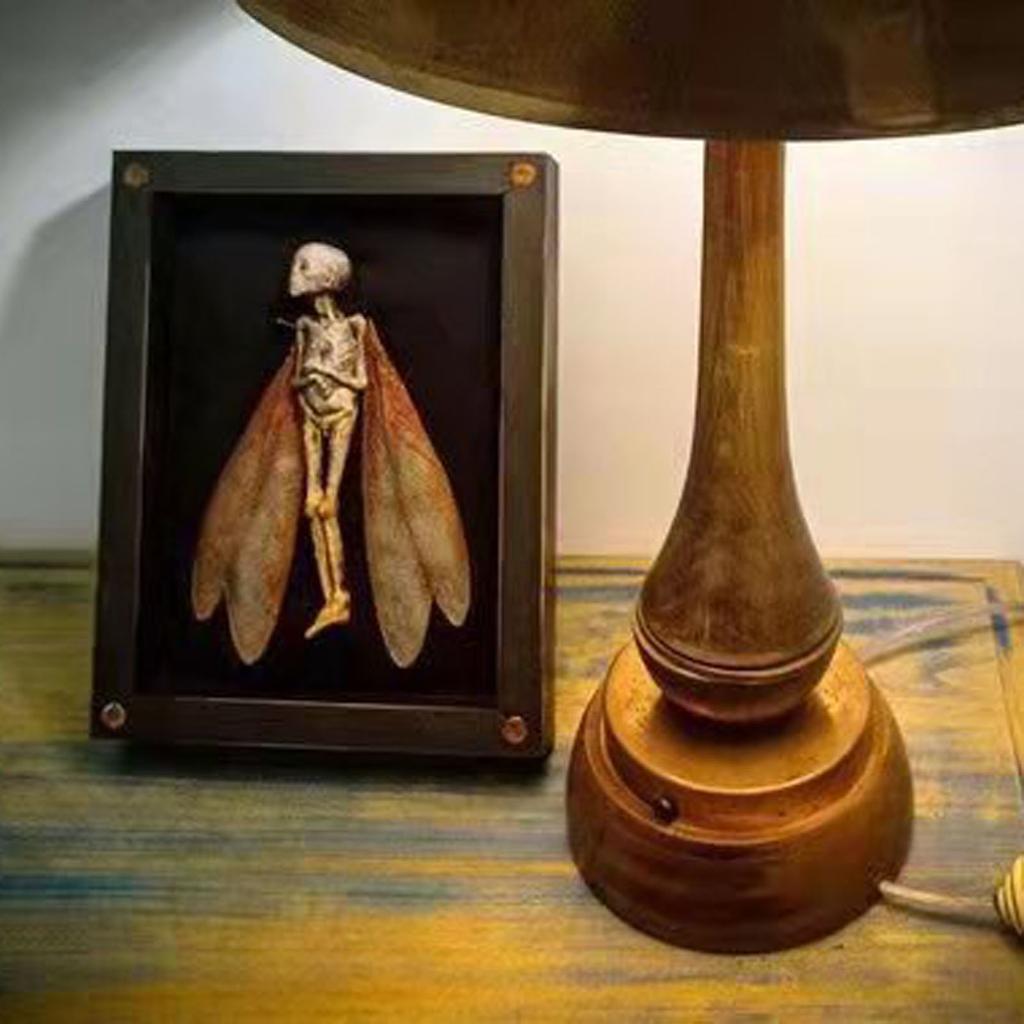 Проклятые предметы, коробка с мертвой тенью, витрина, жуткий мумифицированный труп ручной работы, художественный орнамент