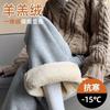 Lamb Wool Sweatpants Women's Pants Autumn and Winter New Cotton Pants Gray Fleece Thickened Wide-leg Sweatpants
