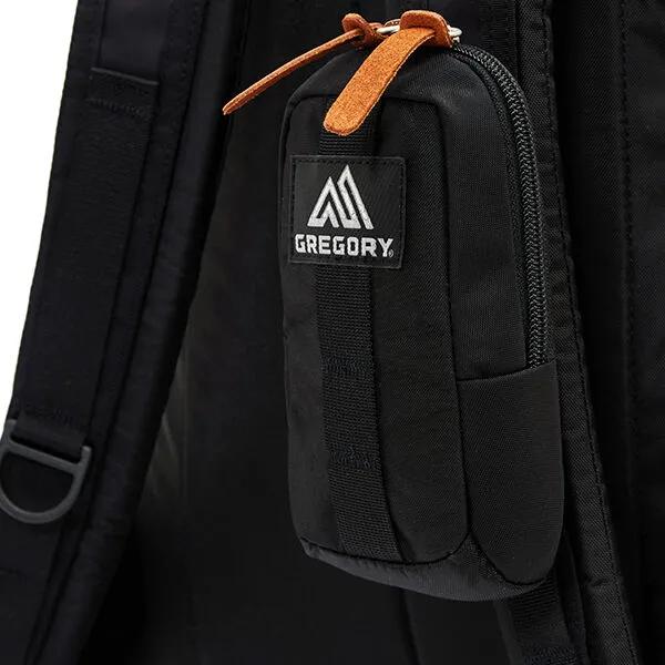 Gregory Quick Padded Case S - ЧЕРНЫЙ (07J29205)