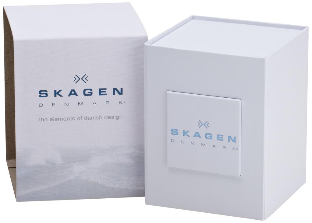 Wristwatch KLASSIK SKW2191 Officially Imported [Skagen]
