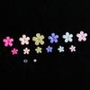 1 Box 3D Flower Nail Charms Multifunctional 12 Grid Design Phone Cases DIY Crafts Nail Art Supplies for Women