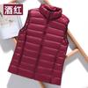 FASHION2024 Зимняя распродажа Легкий пуховый жилет с воротником-стойкой Жилет короткий, большого размера, облегающий жилет Пуховик женский жилет Одежда