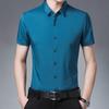 Men's Summer Solid Color Short-Sleeve Turn-Down Collar Shirt - Casual and Workwear Top