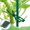 30Pcs 17cm Adjustable Reusable Plastic Climbing Support Garden Plant Cable Ties