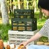 Large Capacity Camping Picnic Basket Multifunction Foldable Camping Basket  Picnics