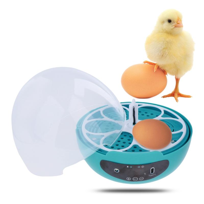 Household Mini Egg Incubator Temperature Control with Light Clear Digital Chicken Hatcher for Duck Bird Chicken Parrot Eggs