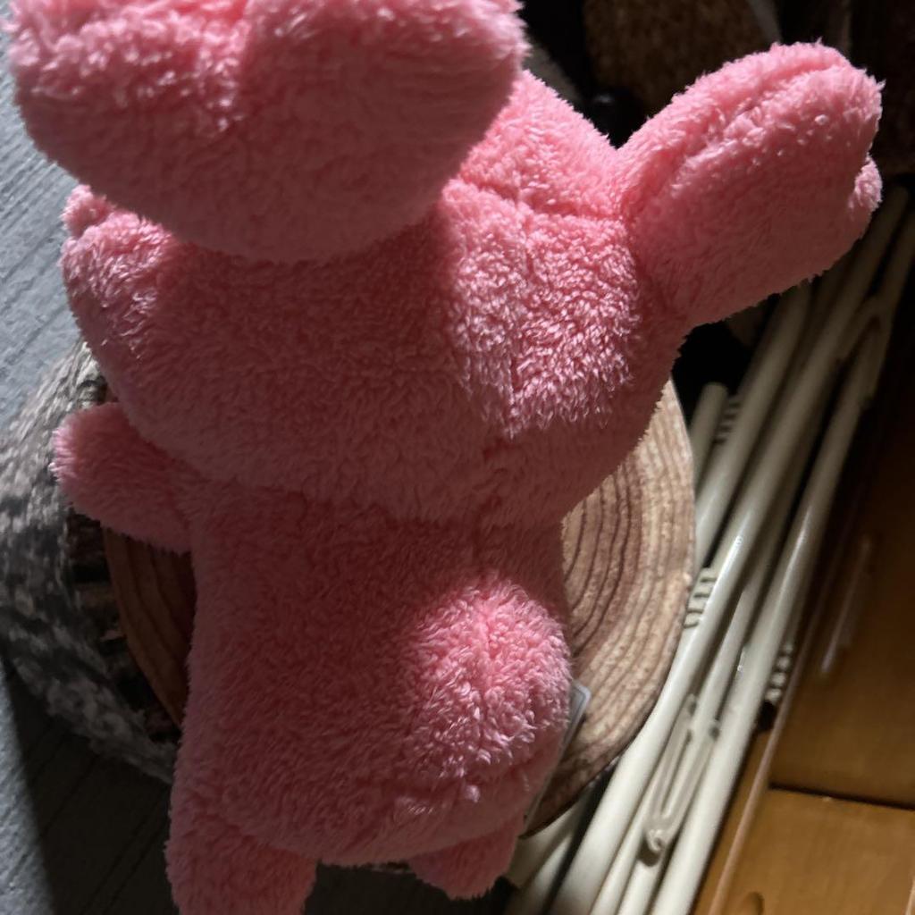 [USED] TWICE Momo Plush Toy Umi-sama Exclusive Page