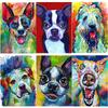 Новый 5D DIY алмазная живопись картина маслом собака Алмазная вышивка животное вышивка крестом полная круглая дрель домашний декор художественный подарок