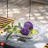 ADERIA Tsugaru Vidro Water Basin Nebuta Made in Japan Flower Vase Stylish Glass Vase Container Flower Dry Flowers Ikebana Gift for Women Day Day