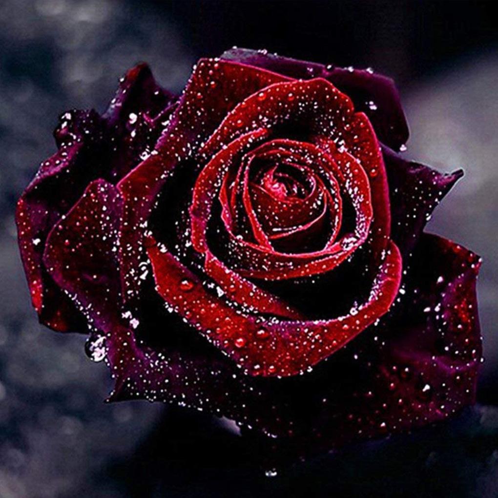 5D алмазная живопись набор красная роза полная дрель стразы сделай сам вышивка крестом