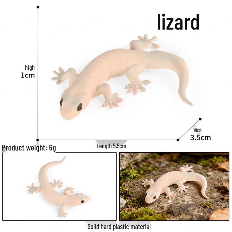 Cute Animal Models: Japanese Raccoon, Flying Squirrel, Monkey, Rabbit, Squirrel, Shiba Inu, Tiger, Lion, Lizard Toy Set