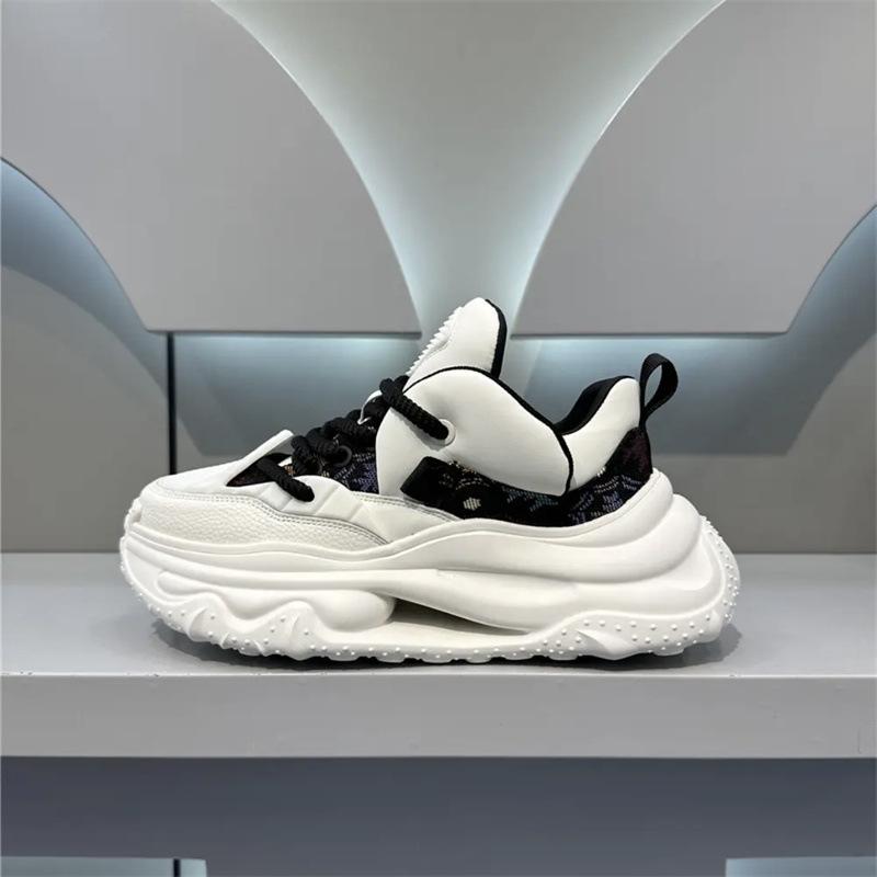 Autumn new dad shoes printing embroidery hollow bottom sports casual shoes platform tide bjd