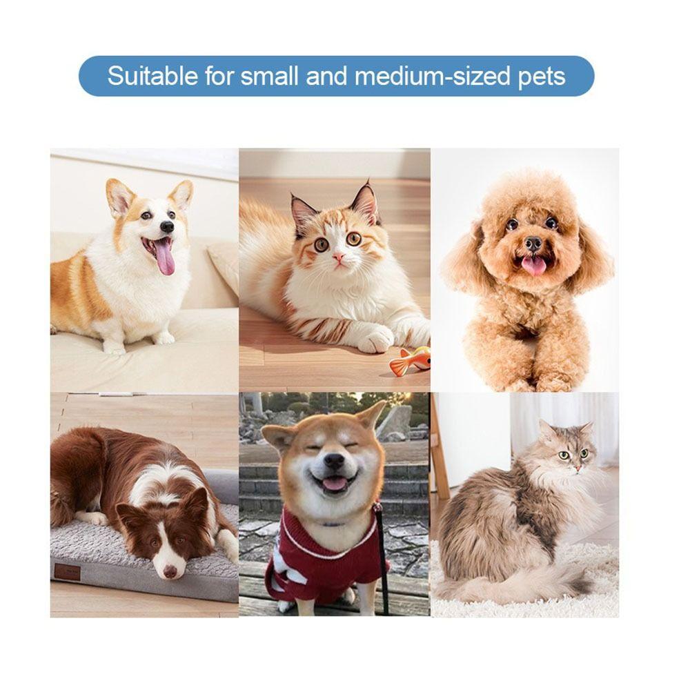 Intelligent Cleaning Automatic Pet Foot Washer Removable Design Pet Foot Washing Cup Beauty Care