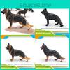 Dog German Shepherd Replication Pvc Model For Children Gift And Home Decor