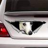 DS81#30x11.5cm  Creative Car Sticker White 3d Pet Dog Accessories Vinyl Car Styling Cover Scratches