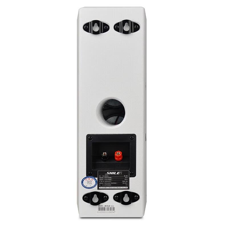 SHILE Conference Room Sound System with Amplifier & Wireless Mics CN plug (adapter included)