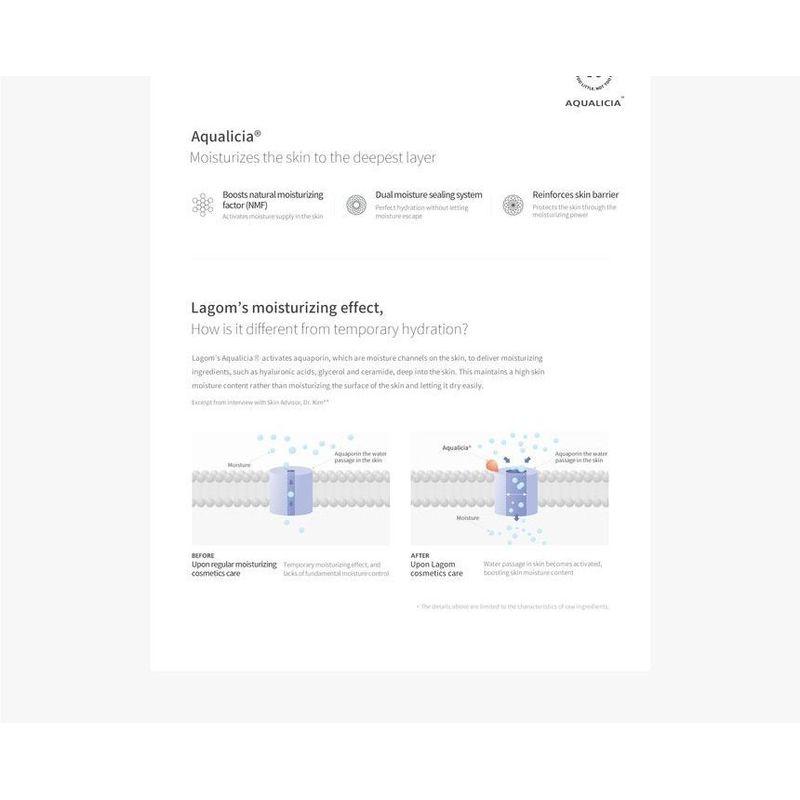 LAGOM - Peptide Micro Needle Patch