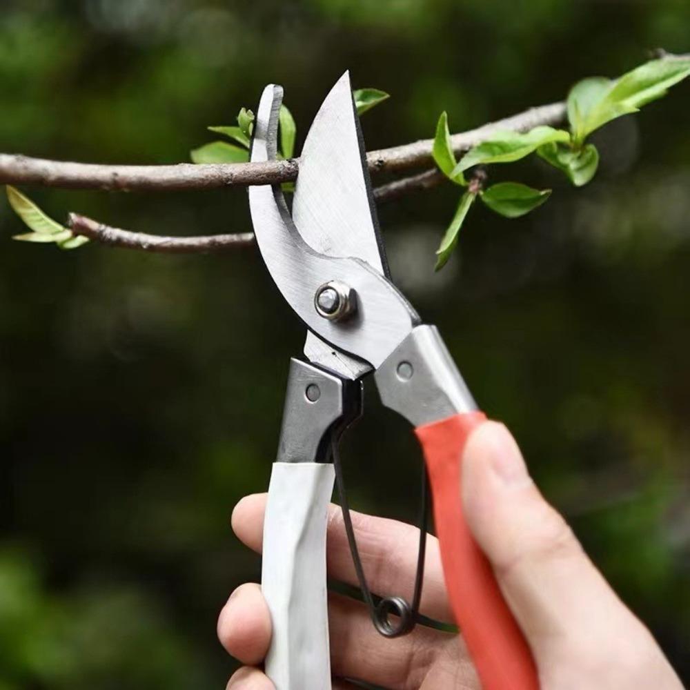 Multifunctional Plant Pruning Scissors Stainless Steel Gardening Scissors Garden Trimming Tool Bonsai Pruning Heavy-Duty