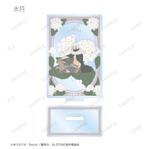 ТВ аниме "Доктор". Камень" Торговый Боттания Акриловые Подставки Коробка из 9