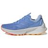 Кроссовки для трейлраннинга Terrex Soulstride Flow 'Blue Fusion' HP5565