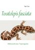 Книга Teratolepis Fasciata : Rubenschwanz-Viperngecko