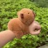 Capibara Bracelet Capybara Snaps Plush Toy Birthday Gift Arms Clasp Doll Hairy Snaps