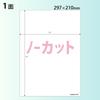 KOKUYO Inkjet Label 100 Stickers, Uncut, Sheets, KJ-E80908N