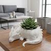 Plastic Succulent Planter Growing Pots Flower Container Dragon Shaped Plant Pot  for Desktop Decor
