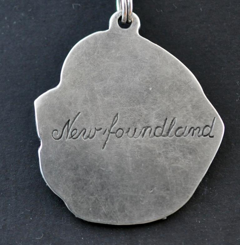 Newfoundland, Newfs, Newfies – Dog necklace in gift box, silver-plated locket for dog fan | Art-Dog