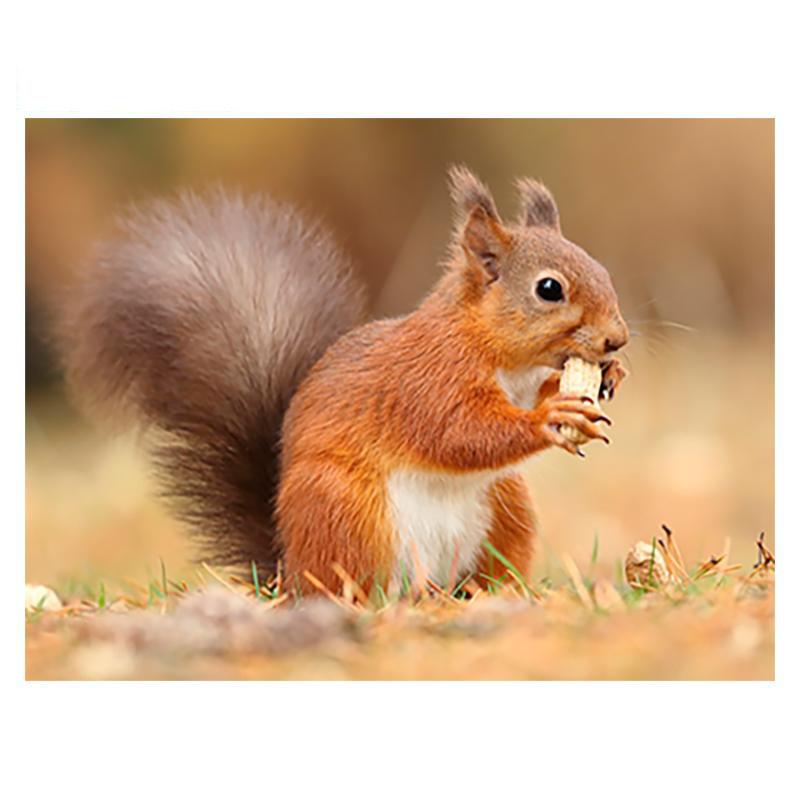 5D DIY Алмазная картина Деревянная белка Алмазная мозаика Алмазная вышивка Полный набор Наборы для вышивки крестом Домашний декор Подарки