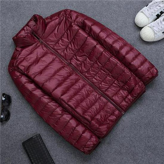 Men's Korean Style Slim Hooded Winter Down Jacket