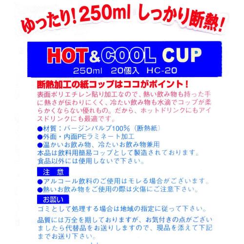 Insulated Paper Cups, Slightly Larger, 250ml, 20-Pack x 2-Pack, 40-Pack, HC-20
