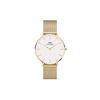 Daniel Wellington [Official Shop/2-Year Warranty/Authentic Import] DW Watch for Men and Women, Petite Evergold YG, 36mm, Stylish, Popular, Cute Mesh W