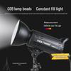 WOLFGANG 300W-S Двухцветный светодиодный заполняющий свет для фотосъемки