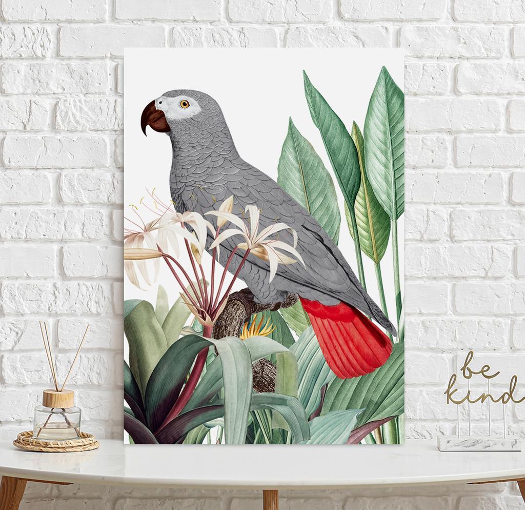 Плакат с изображением серого попугая