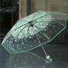 Transparent Clear Umbrella    3 Fold Umbrella