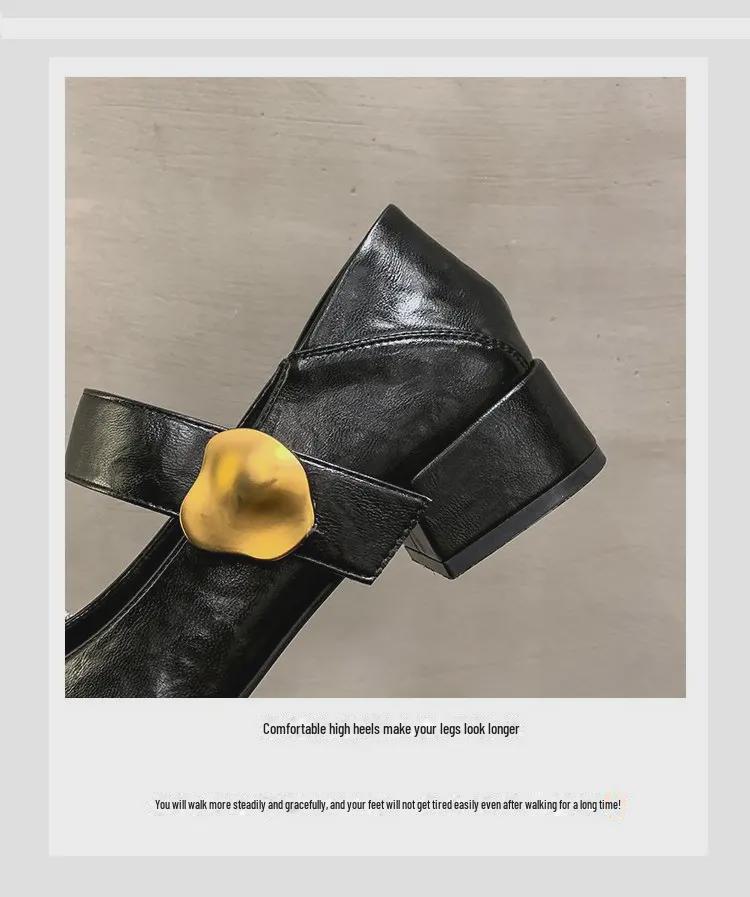 Женские туфли Mary Jane из кожи на толстом каблуке с острым носком, осень 2024 г. - средний каблук, британский повседневный стиль