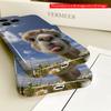 Alpaca in Daisies Under Blue Sky All inclusive film hard phone case, compatible with iPhone 18 Pro Max 17 16 15 14 13 12 11