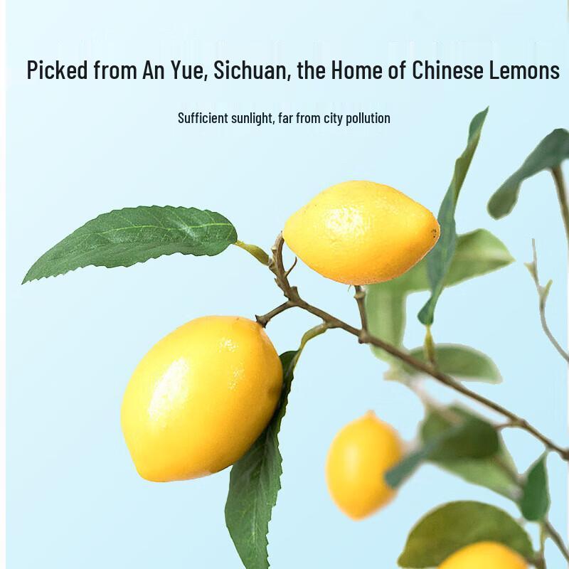 Qi Li Xiang Freeze-Dried Lemon Slices