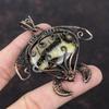 Септария Медный Кулон Кулон в виде Черепахи, обернутый медной проволокой Ювелирное изделие ручной работы Кулон с драгоценным камнем для женщин Кулон, обернутый проволокой Подарок для мамы