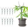 Штабелируемая опора для растений Монстера, Колышки для растений для использования в помещении и на открытом воздухе, Садовые колышки для вьющихся и горшечных растений, Потос, Филодендрон