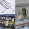 Держатель для корма для птиц из нержавеющей стали, кормушка для овощей и фруктов для попугаев, подвесная корзина для лакомств для птиц, игрушка для поиска корма для попугаев
