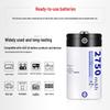 C Type 2750mAh 1.2V Rechargeable Battery for Gas Stove Water Heater